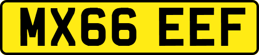MX66EEF