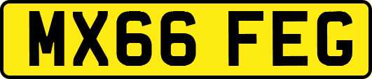 MX66FEG