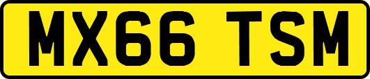 MX66TSM