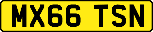 MX66TSN