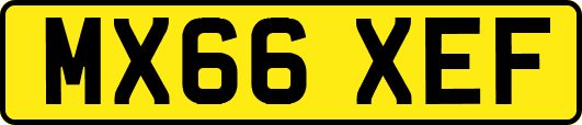 MX66XEF