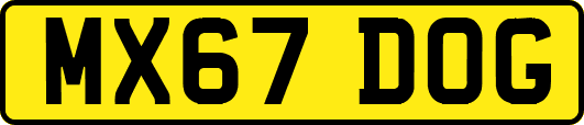 MX67DOG