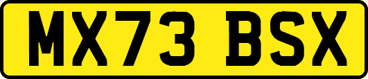 MX73BSX