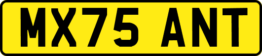 MX75ANT