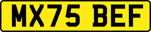 MX75BEF