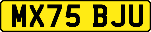 MX75BJU