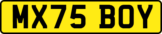 MX75BOY
