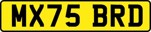 MX75BRD