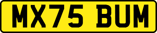 MX75BUM