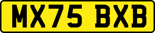 MX75BXB