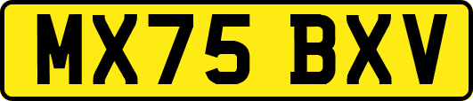 MX75BXV
