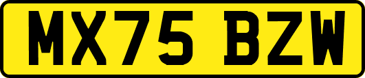 MX75BZW