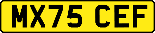 MX75CEF