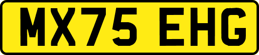 MX75EHG