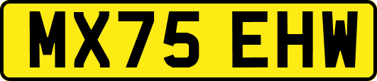 MX75EHW