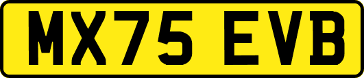 MX75EVB