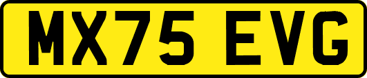 MX75EVG