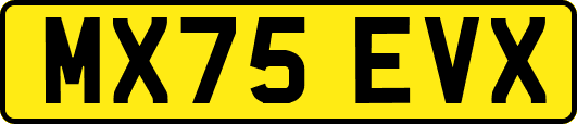 MX75EVX