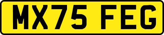 MX75FEG