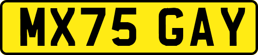 MX75GAY