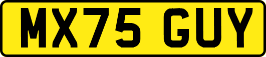 MX75GUY