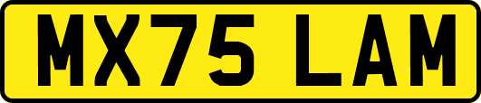 MX75LAM