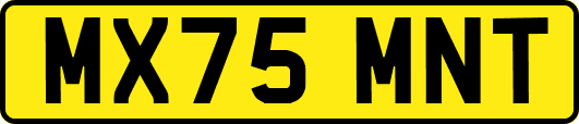 MX75MNT