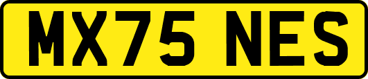MX75NES