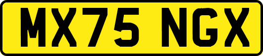 MX75NGX