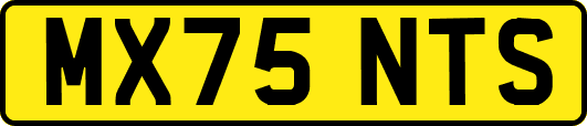 MX75NTS