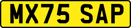 MX75SAP