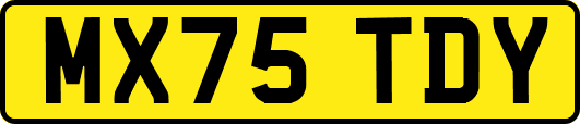 MX75TDY