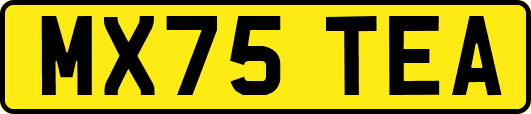 MX75TEA