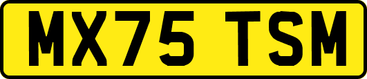 MX75TSM