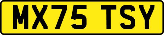 MX75TSY