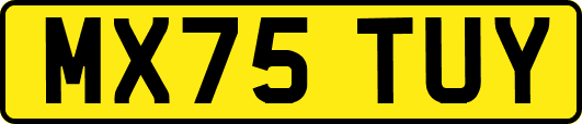 MX75TUY