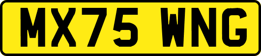 MX75WNG