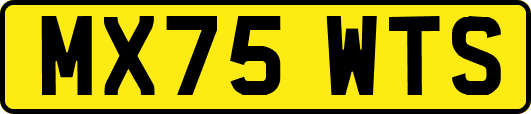MX75WTS