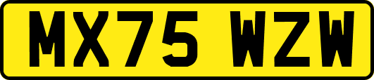 MX75WZW