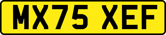MX75XEF