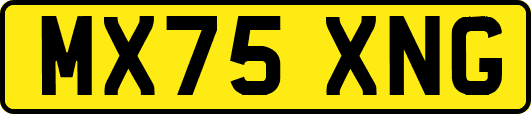 MX75XNG