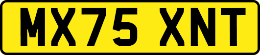 MX75XNT