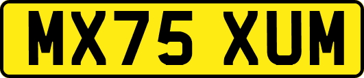 MX75XUM