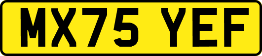 MX75YEF