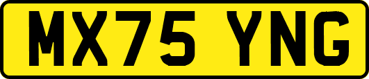 MX75YNG