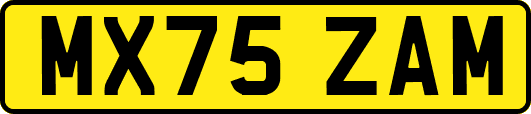 MX75ZAM