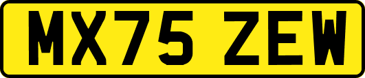 MX75ZEW