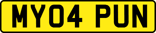 MY04PUN
