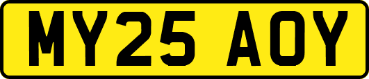 MY25AOY