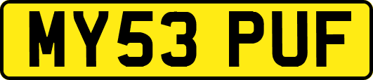 MY53PUF